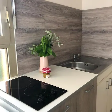 Spacieux Lumineux Proche Du Centre Appartement Ajaccio (Corsica)