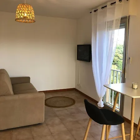 Appartement Spacieux Lumineux Proche Du Centre *