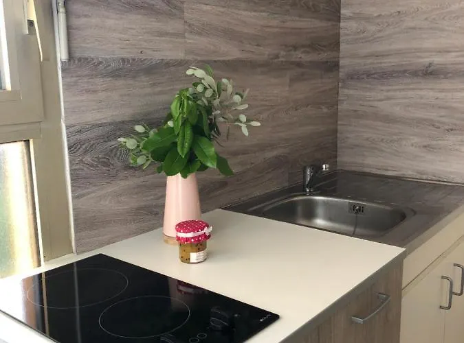 Spacieux Lumineux Proche Du Centre Apartment Ajaccio (Corsica)