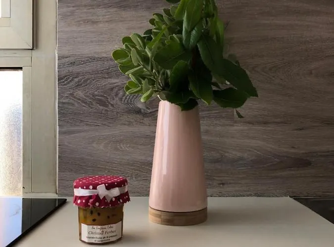 Spacieux Lumineux Proche Du Centre * Ajaccio (Corsica)