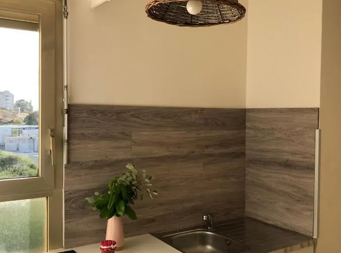 Spacieux Lumineux Proche Du Centre * Αζάτσιο